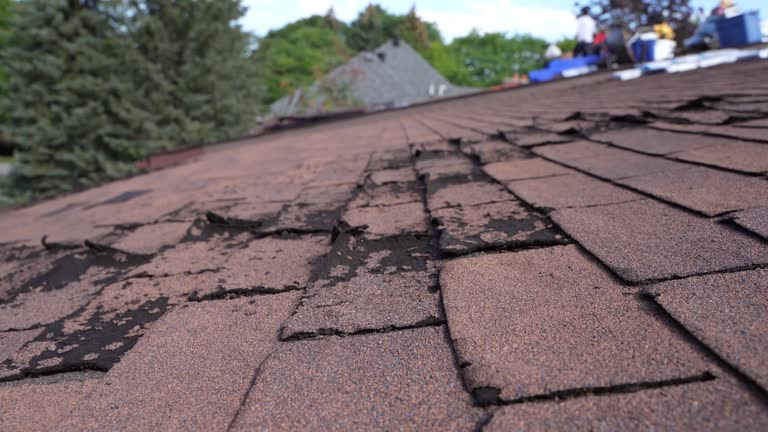 Professional Roofing service in Chenango Bridge, NY